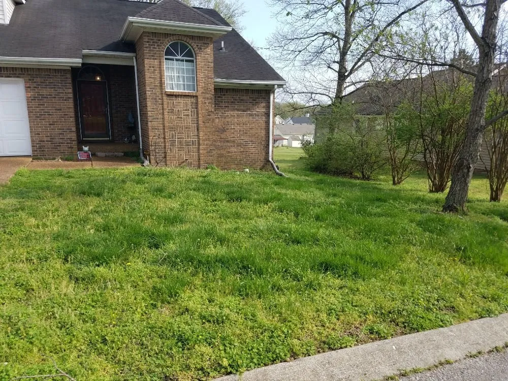 Local lawn mowing service in Nashville, TN - Quality Lawn & Landscaping Services