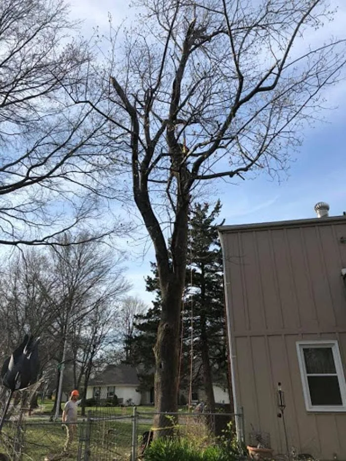 Reliable yard maintenance experts serving Kansas City, MO - Quality Lawn and Landscape Bros