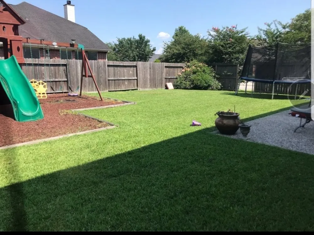 Reliable yard maintenance experts serving Houston, TX - Quality Lawn and Landscaping Services