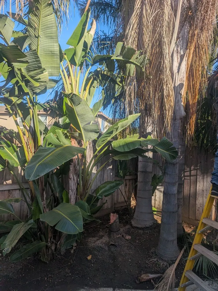 Top-rated garden landscaping for beautiful yards across Stockton, CA - Quality Lawn and Tree Care