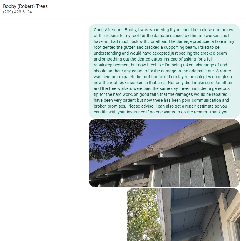 Expert lawn care service experts serving Stockton, CA - Quality Lawn and Tree Care