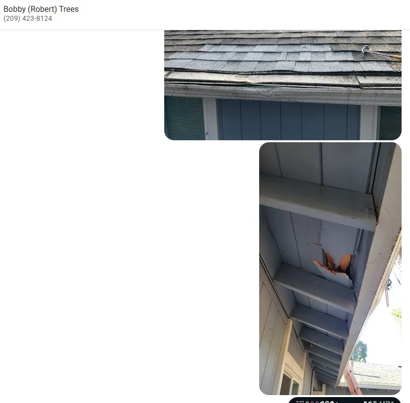 Professional garden landscaping in Stockton, CA by Quality Lawn and Tree Care