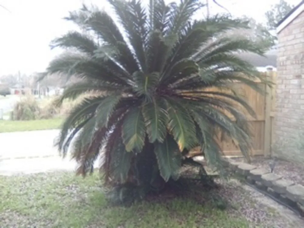 Reliable garden landscaping in Baton Rouge, LA by Quality Lawn B R