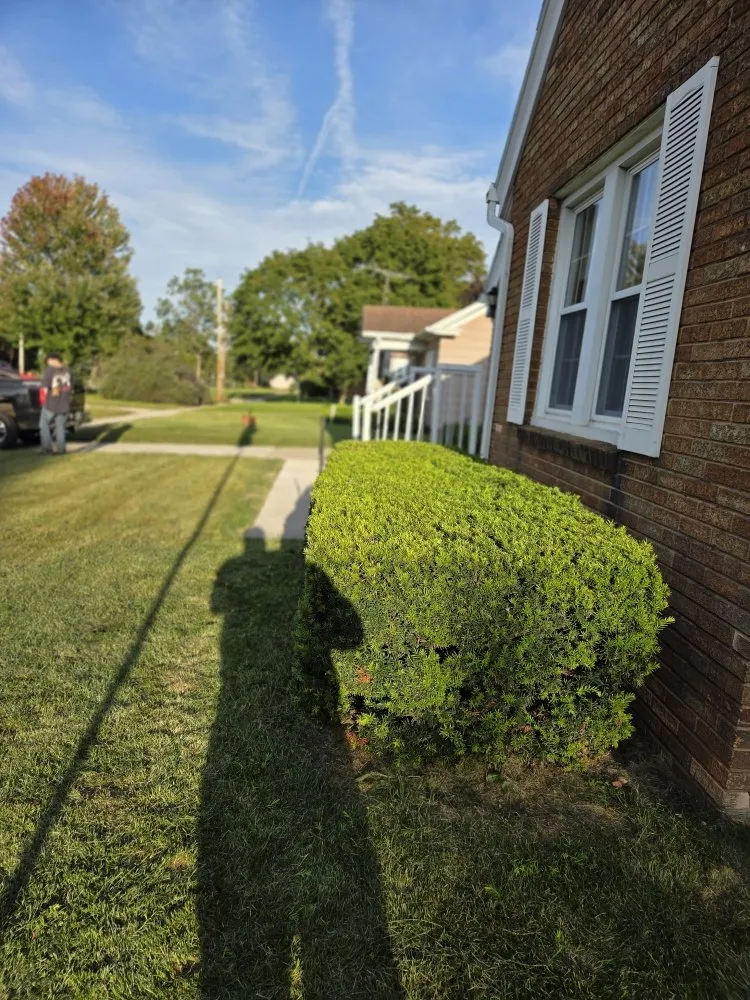Local landscape design for year-round maintenance in Beloit, WI by Quality Lawn