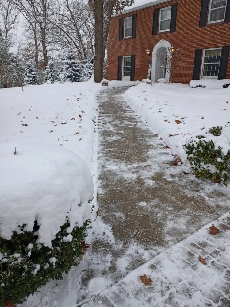 Expert yard maintenance in Beloit, WI - Quality Lawn