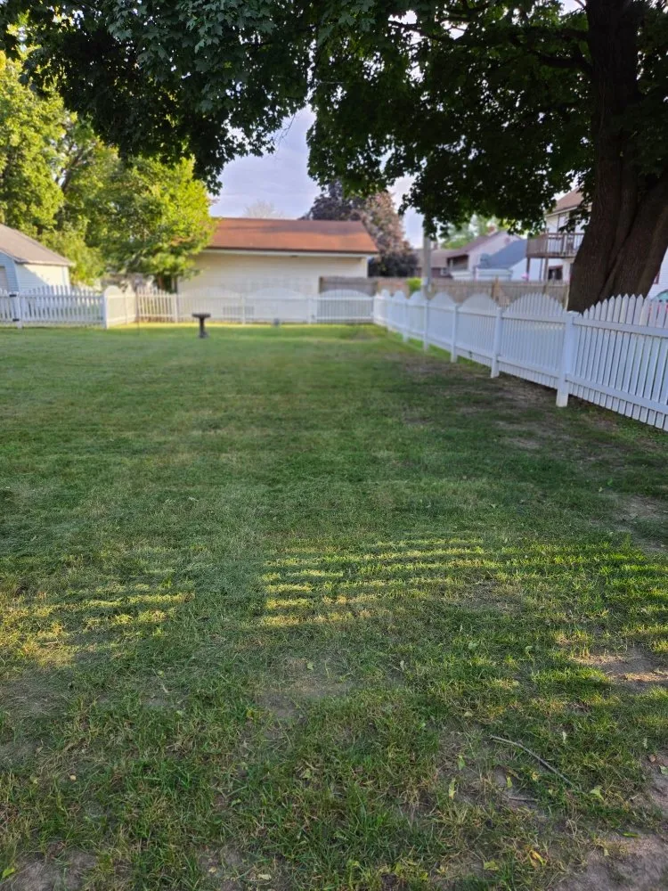 Reliable landscape installation in Beloit, WI - Quality Lawn