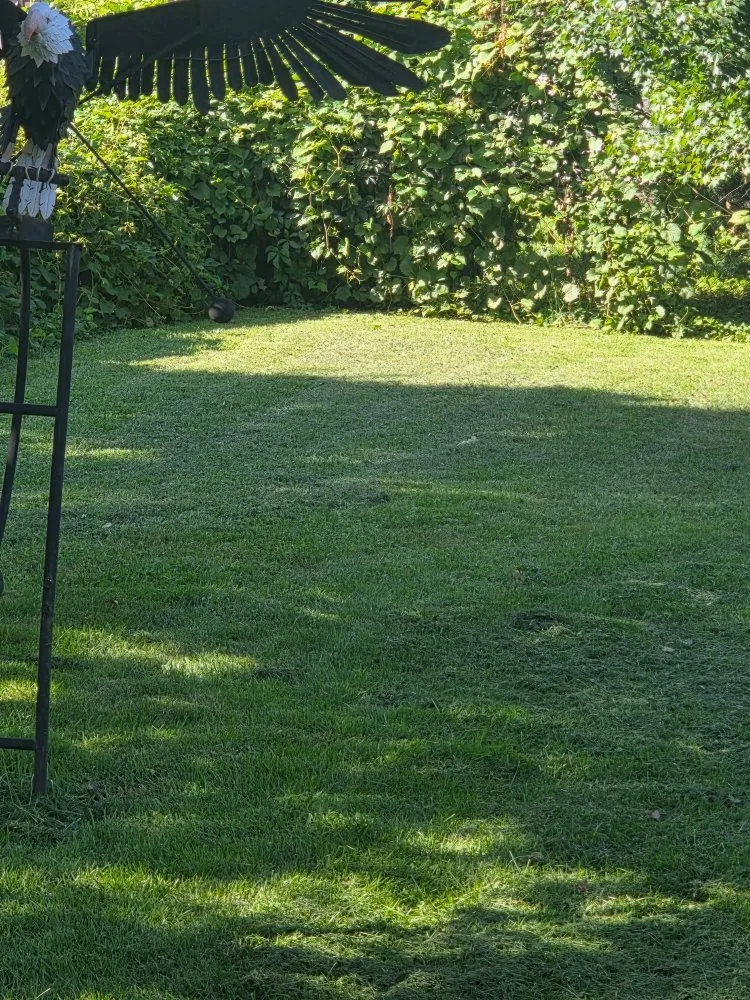 Affordable outdoor landscaping for residential properties across Beloit, WI - Quality Lawn