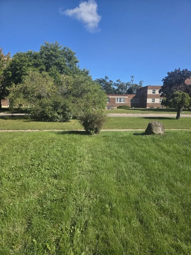 Local yard cleanup service in Beloit, WI by Quality Lawn