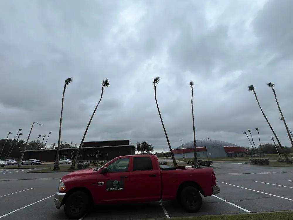 Affordable yard cleanup service in La Feria, TX by Quality Lawn Care & Landscaping