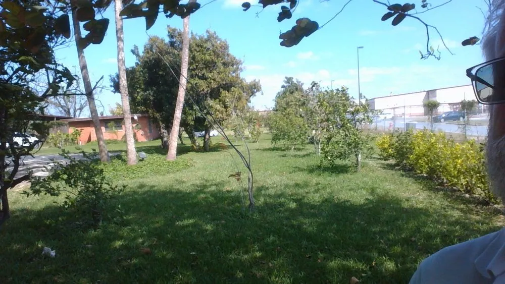 Reliable landscape design experts serving La Feria, TX - Quality Lawn Care & Landscaping