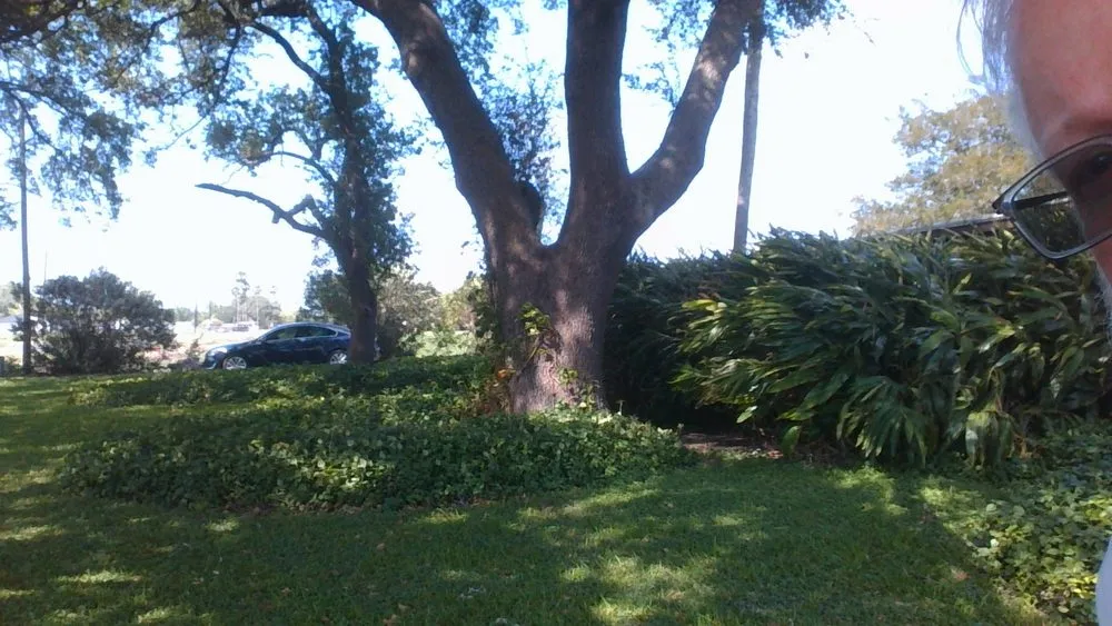 Expert landscape design in La Feria, TX by Quality Lawn Care & Landscaping