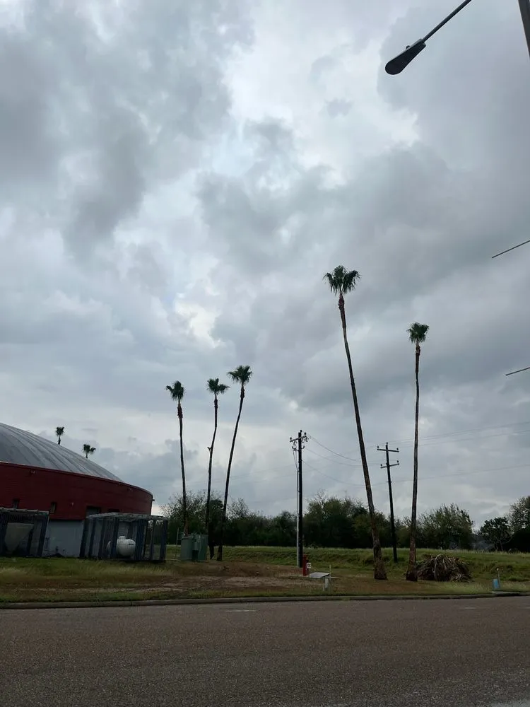 Custom outdoor landscaping in La Feria, TX by Quality Lawn Care & Landscaping