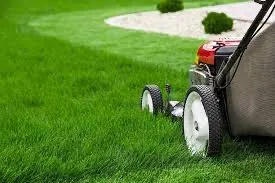 Reliable yard maintenance in Killeen, TX - Quality Lawn Care & Landscaping Services