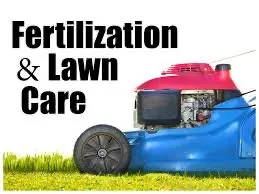 Expert lawn care service in Killeen, TX by Quality Lawn Care & Landscaping Services