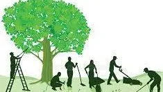 Custom yard cleanup service near you in Killeen, TX by Quality Lawn Care & Landscaping Services