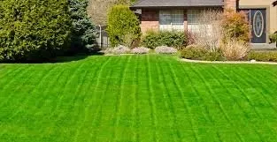 Expert garden landscaping in Killeen, TX by Quality Lawn Care & Landscaping Services