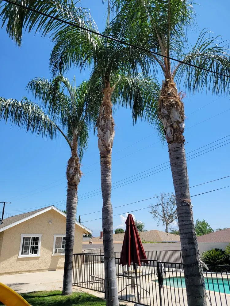 Professional lawn mowing service for outdoor upgrades across Muscoy, CA - Quality lawn care & Maintinance