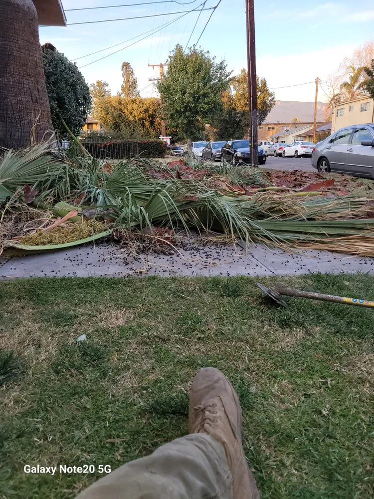 Professional lawn mowing service experts serving Muscoy, CA - Quality lawn care & Maintinance