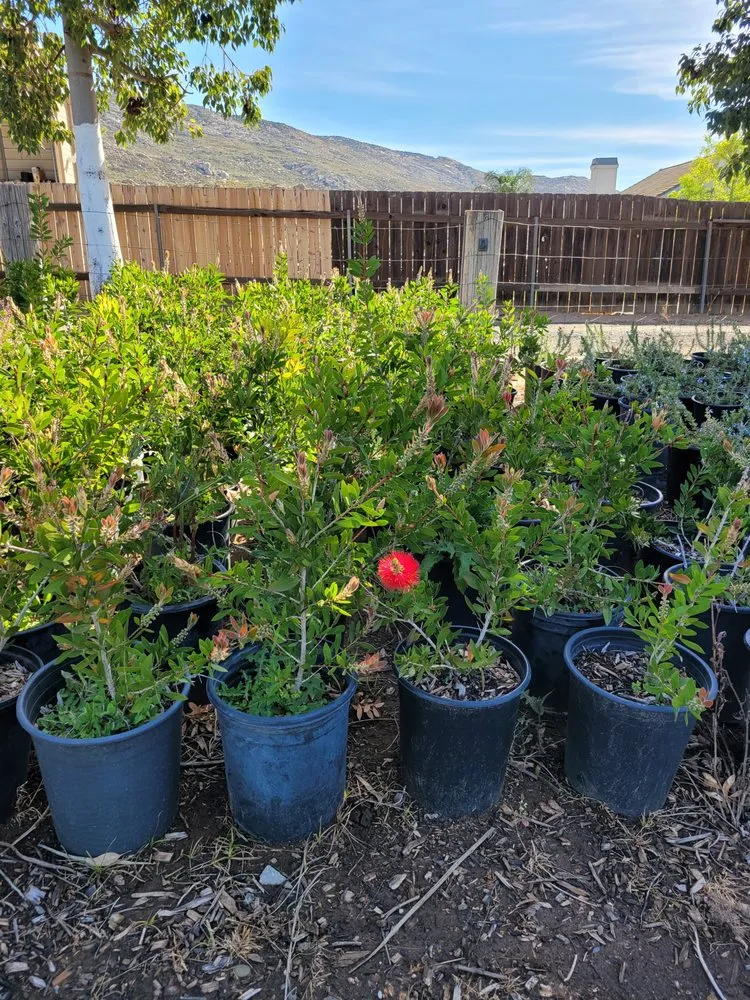 Trusted yard maintenance in Muscoy, CA - Quality lawn care & Maintinance