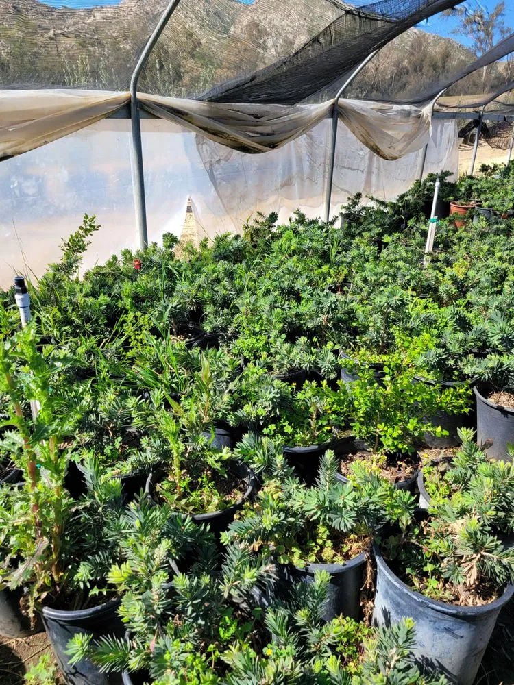 Local landscape design with custom design across Muscoy, CA - Quality lawn care & Maintinance