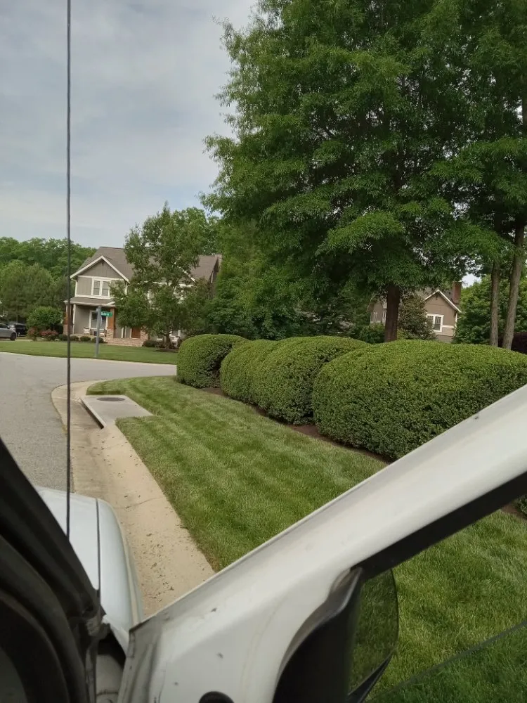 Top-rated landscape design for beautiful yards across Goochland, VA - Quality Lawn Care & More