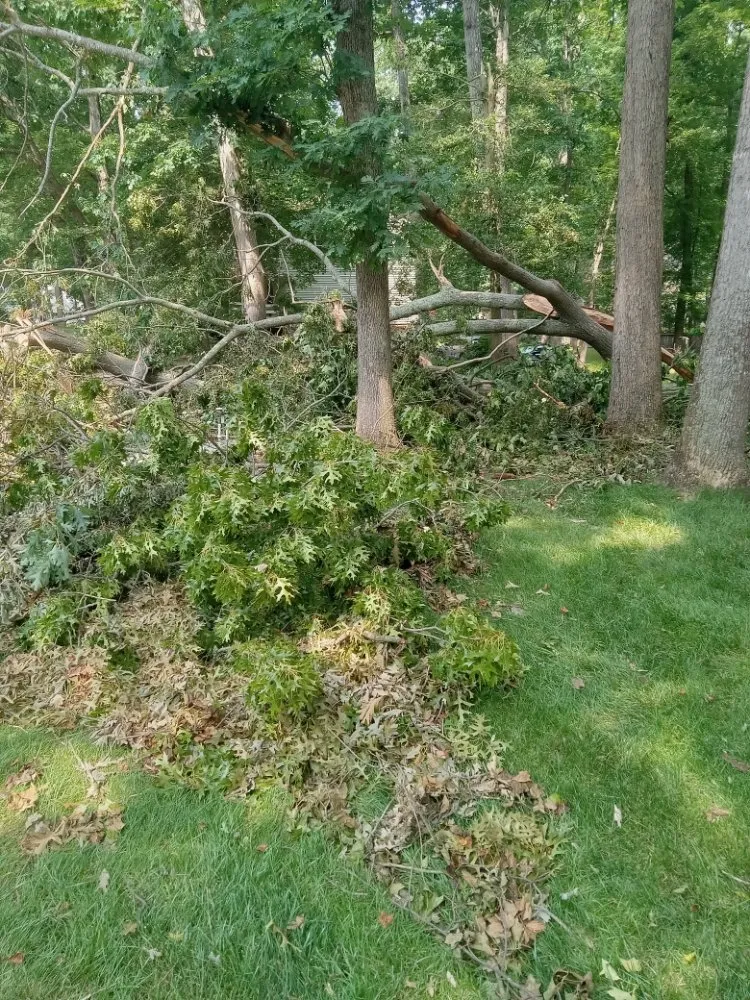 Expert residential landscaping in Goochland, VA - Quality Lawn Care & More
