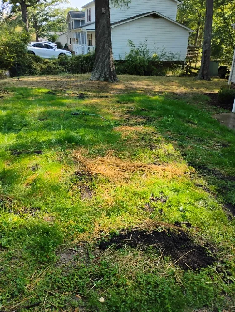 Affordable landscape design near you across Goochland, VA - Quality Lawn Care & More