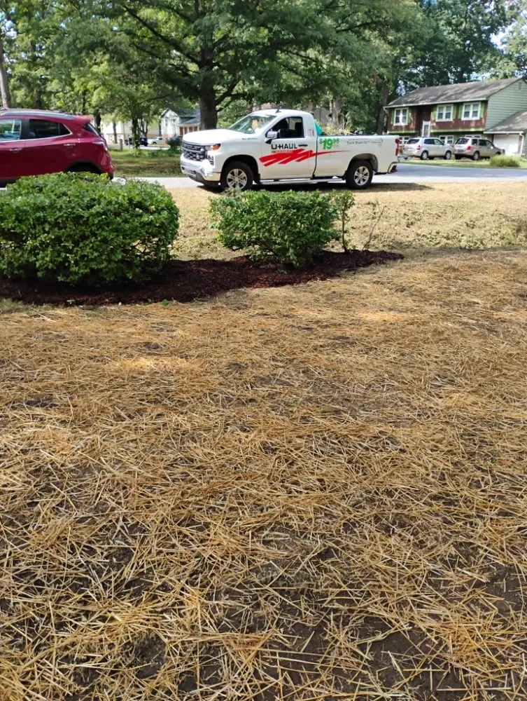 Custom yard cleanup service with custom design across Goochland, VA - Quality Lawn Care & More