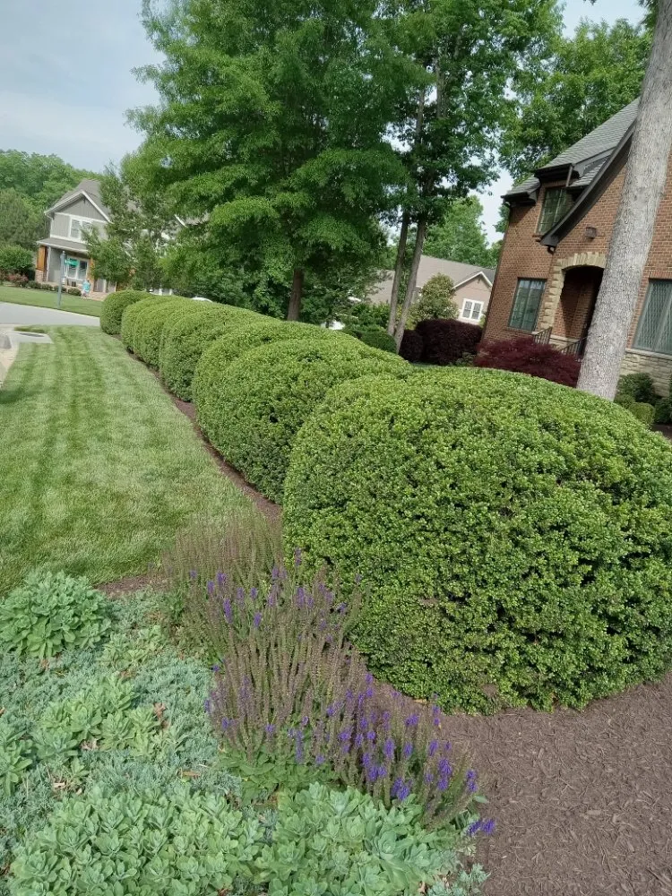 Top-rated landscaping services experts serving Goochland, VA - Quality Lawn Care & More