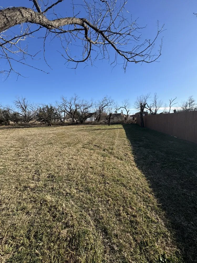 Professional lawn care service experts serving Abilene, TX - Quality Lawn Care