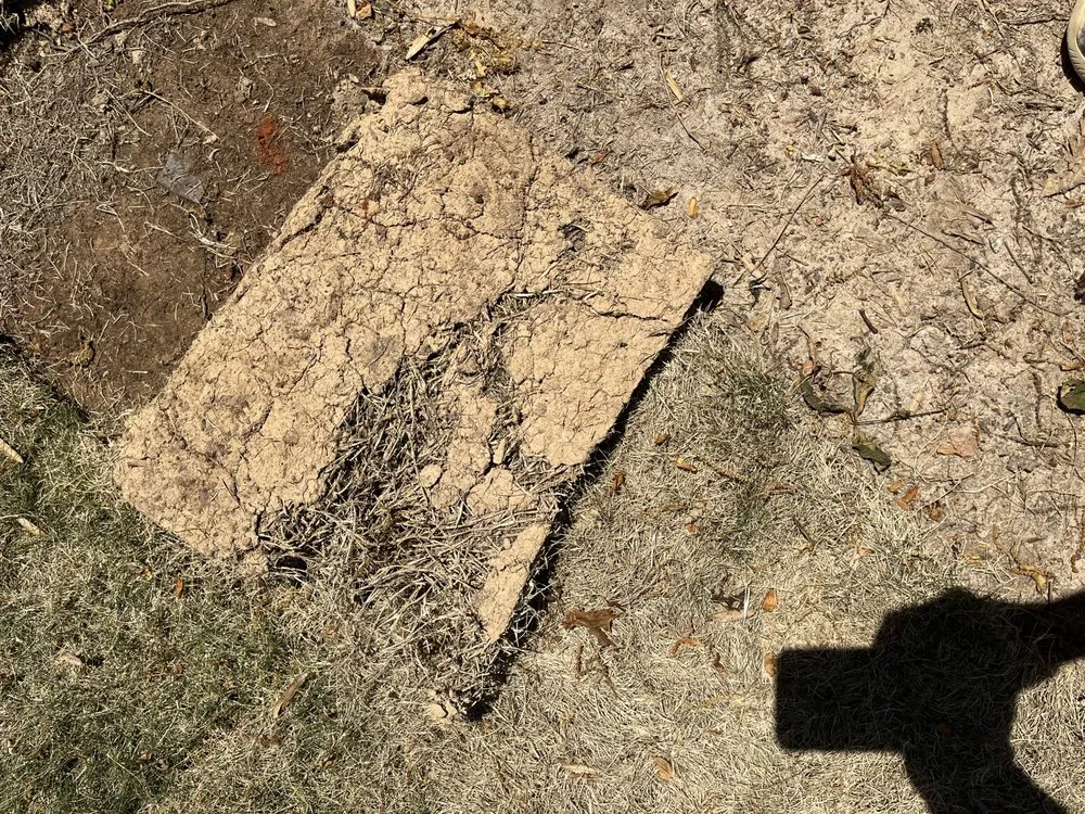 Professional garden landscaping in Elmhurst, IL by Quality Lawn Care and Landscaping