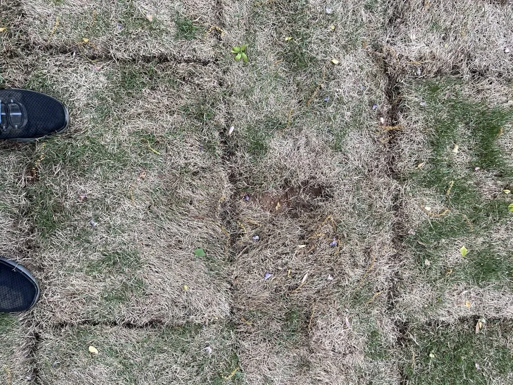 Expert lawn mowing service for outdoor upgrades in Elmhurst, IL by Quality Lawn Care and Landscaping