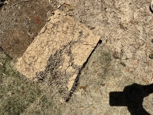 Quality Lawn Care and Landscaping Logo