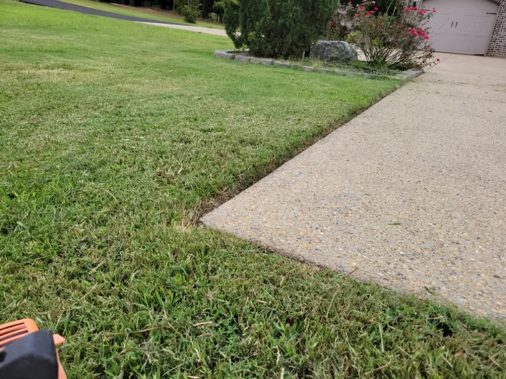 Expert yard cleanup service near you in Bolivar, TN by Quality Lawn Care