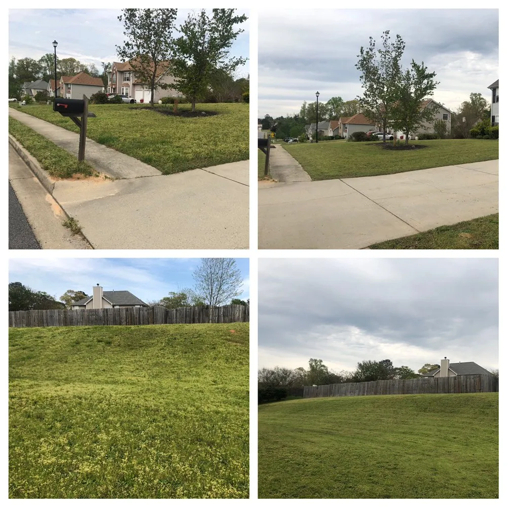 Expert yard cleanup service near you across Atlanta, GA - Quality Lawn Care Cares