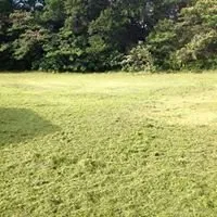 Top-rated landscape design for residential properties across Atlanta, GA - Quality Lawn Care Cares