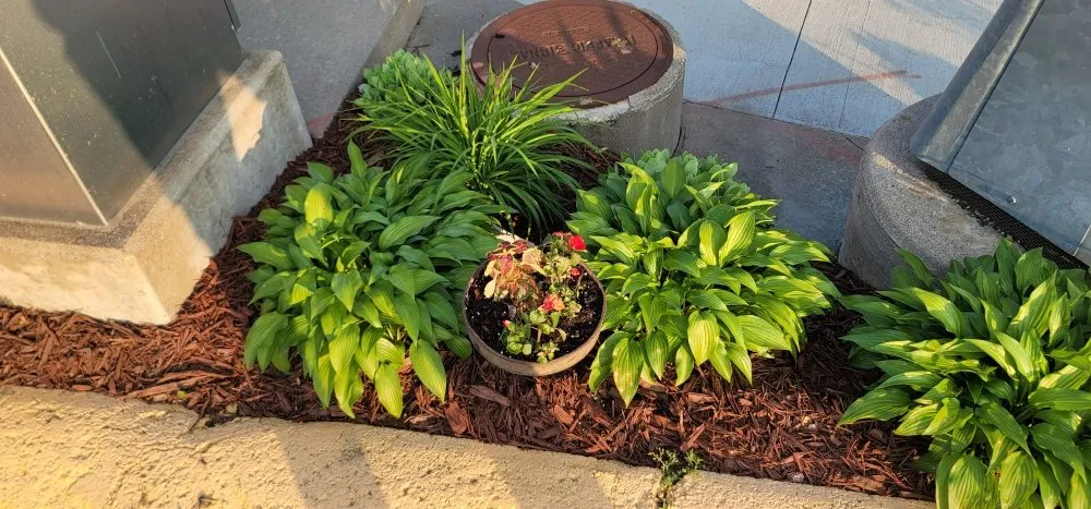 Reliable landscape design experts serving Clinton Center, IA - Quality Lawn Care