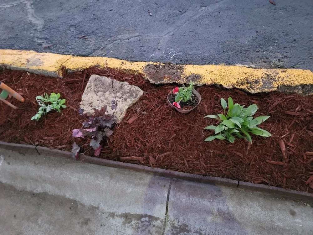 Reliable landscape installation in Clinton Center, IA by Quality Lawn Care