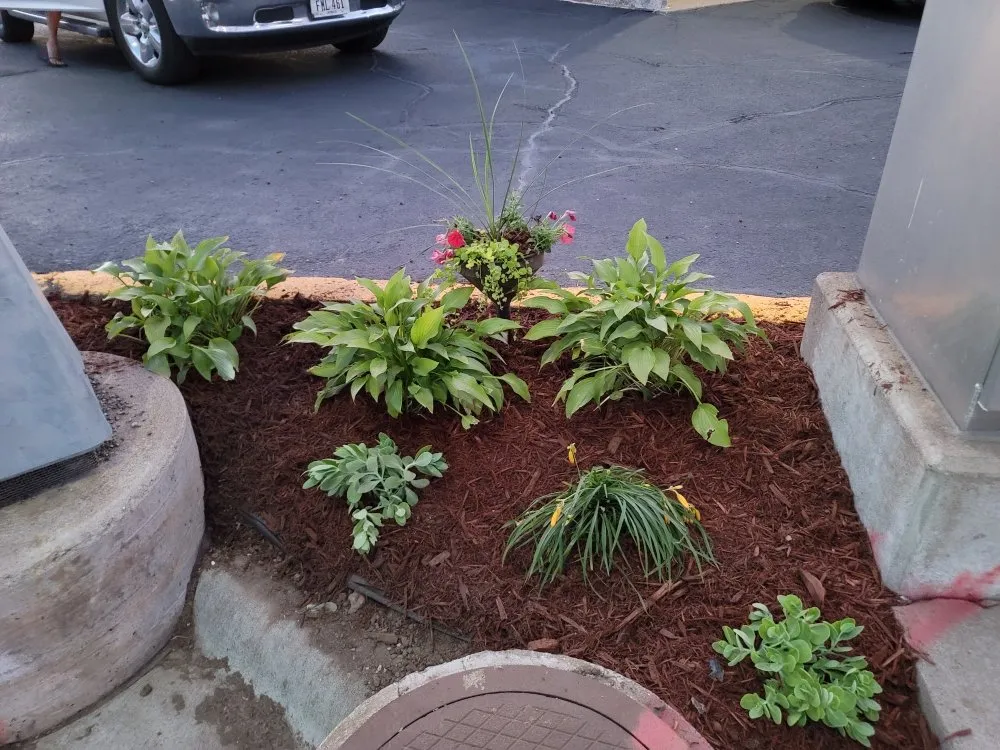 Reliable residential landscaping with custom design across Clinton Center, IA - Quality Lawn Care