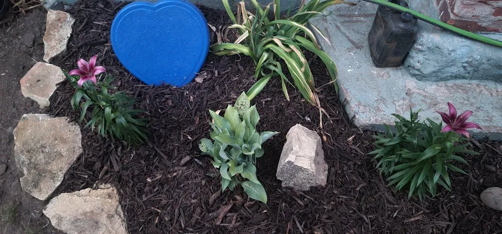 Local yard maintenance for year-round maintenance in Clinton Center, IA by Quality Lawn Care