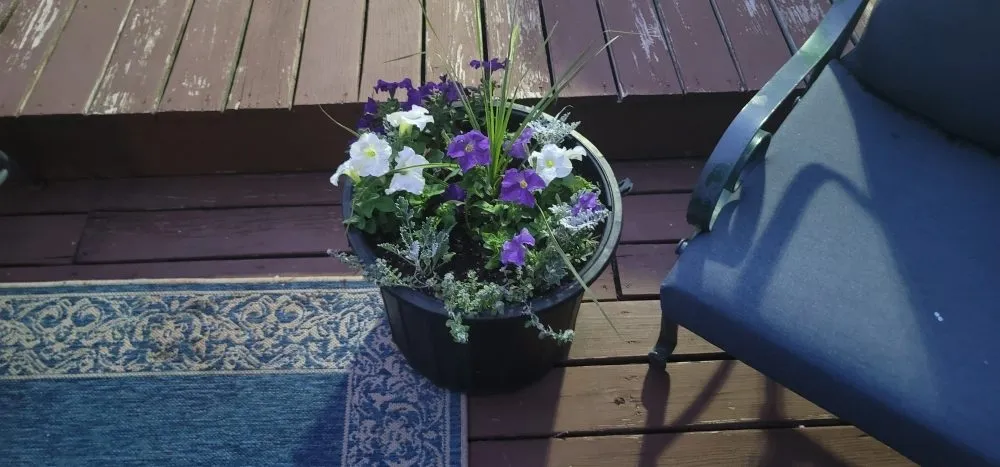 Professional outdoor landscaping for beautiful yards across Clinton Center, IA - Quality Lawn Care