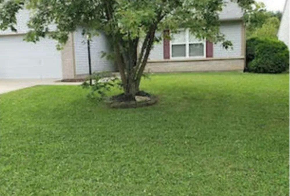 Reliable lawn mowing service near you in Cynthiana, KY by Quality lawn care