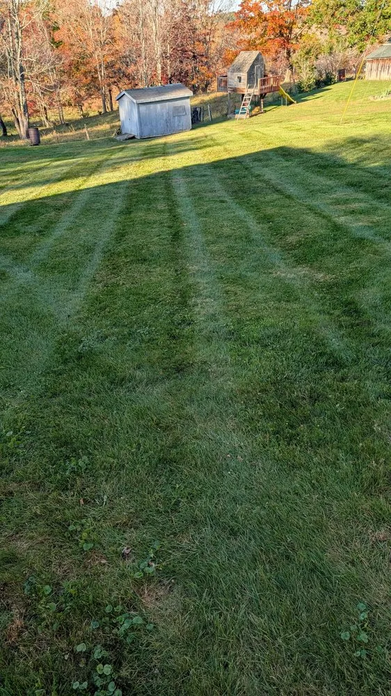 Expert lawn mowing service experts serving Galax, VA - Quality Lawn Care
