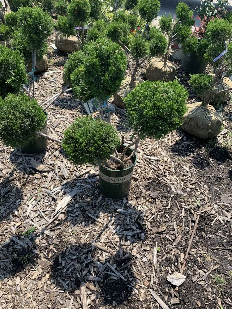 Top-rated landscape installation in Hammond, IN - Quality Lawn Care