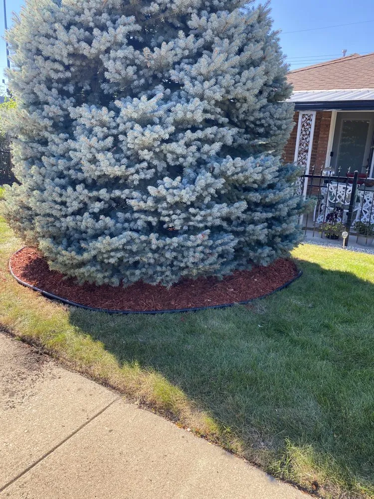 Trusted landscape installation for outdoor upgrades in Hammond, IN by Quality Lawn Care