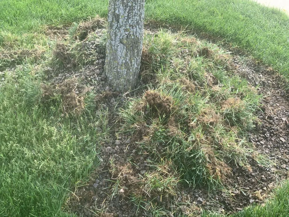 Professional landscape installation for homes across Hammond, IN - Quality Lawn Care