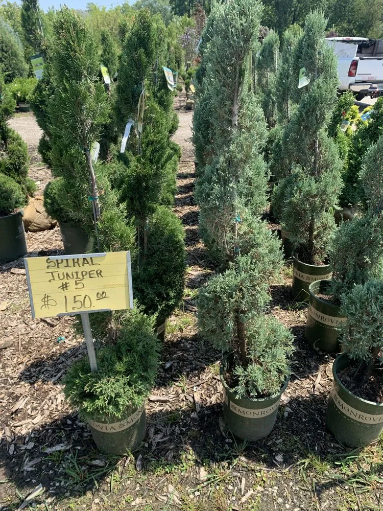 Professional landscape design in Hammond, IN by Quality Lawn Care