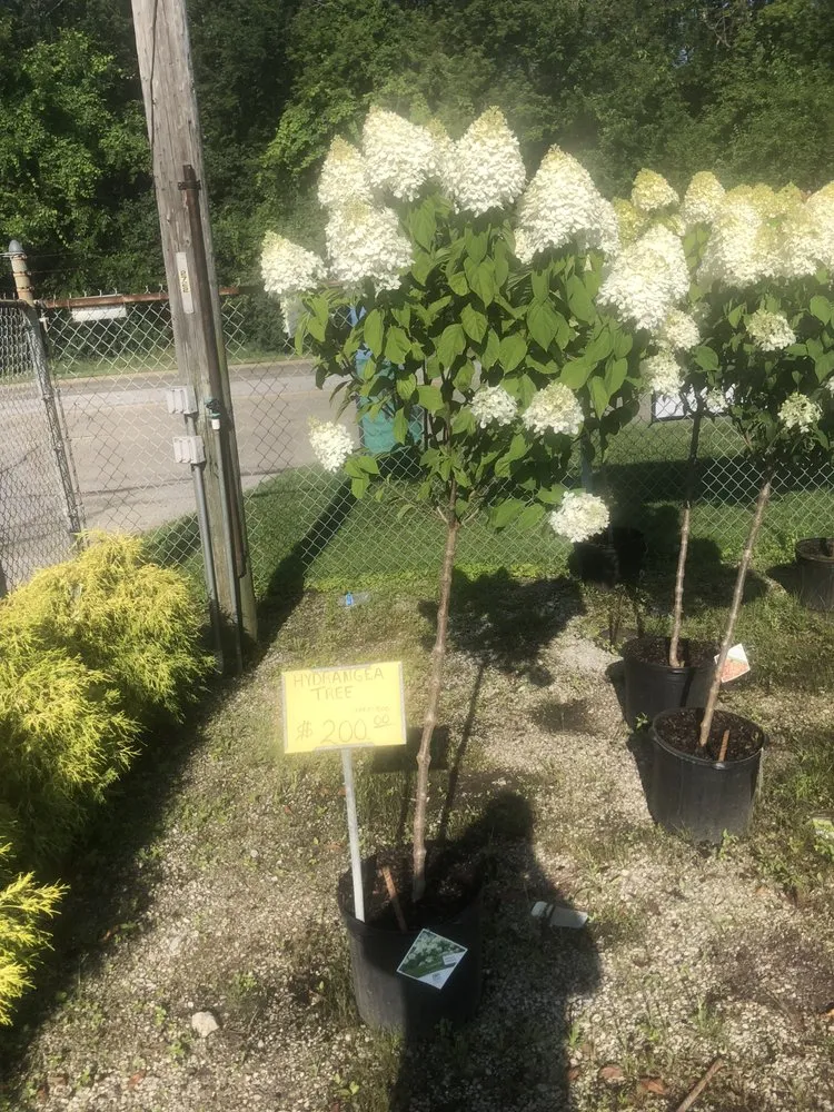 Expert landscaping services for beautiful yards in Hammond, IN by Quality Lawn Care