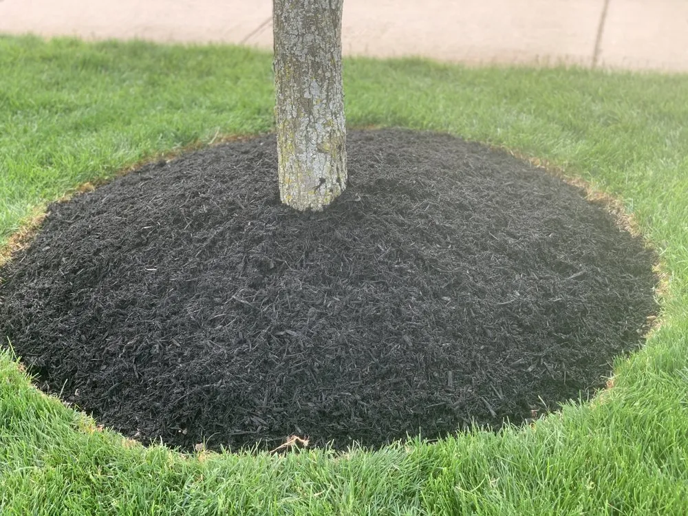 Top-rated yard maintenance with custom design across Hammond, IN - Quality Lawn Care