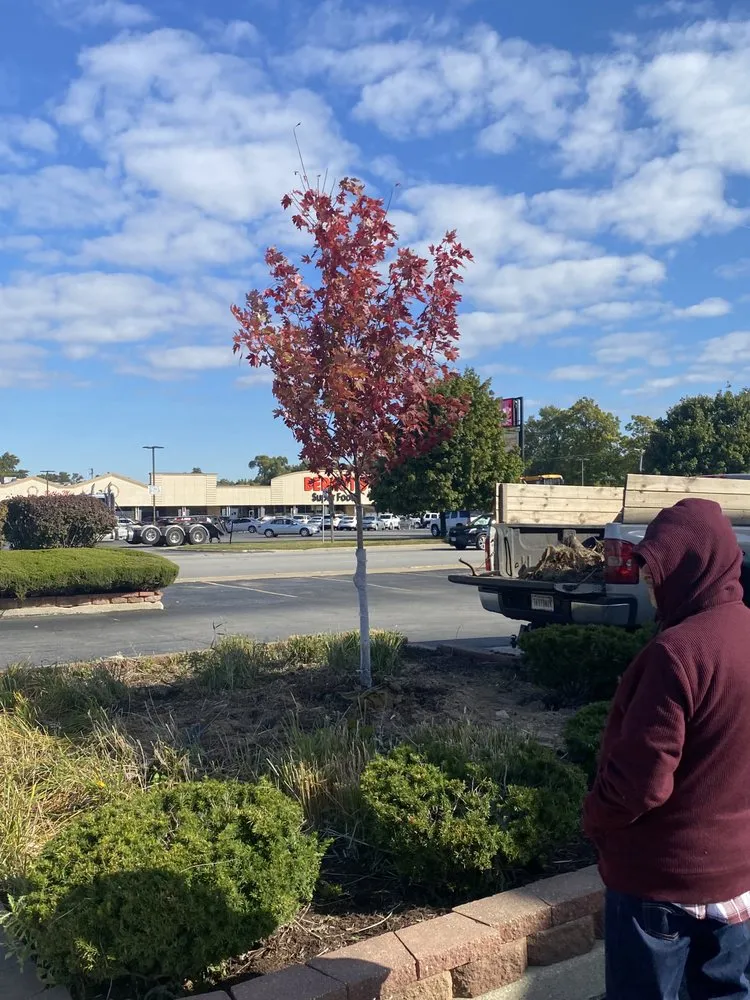 Trusted yard cleanup service for beautiful yards across Hammond, IN - Quality Lawn Care